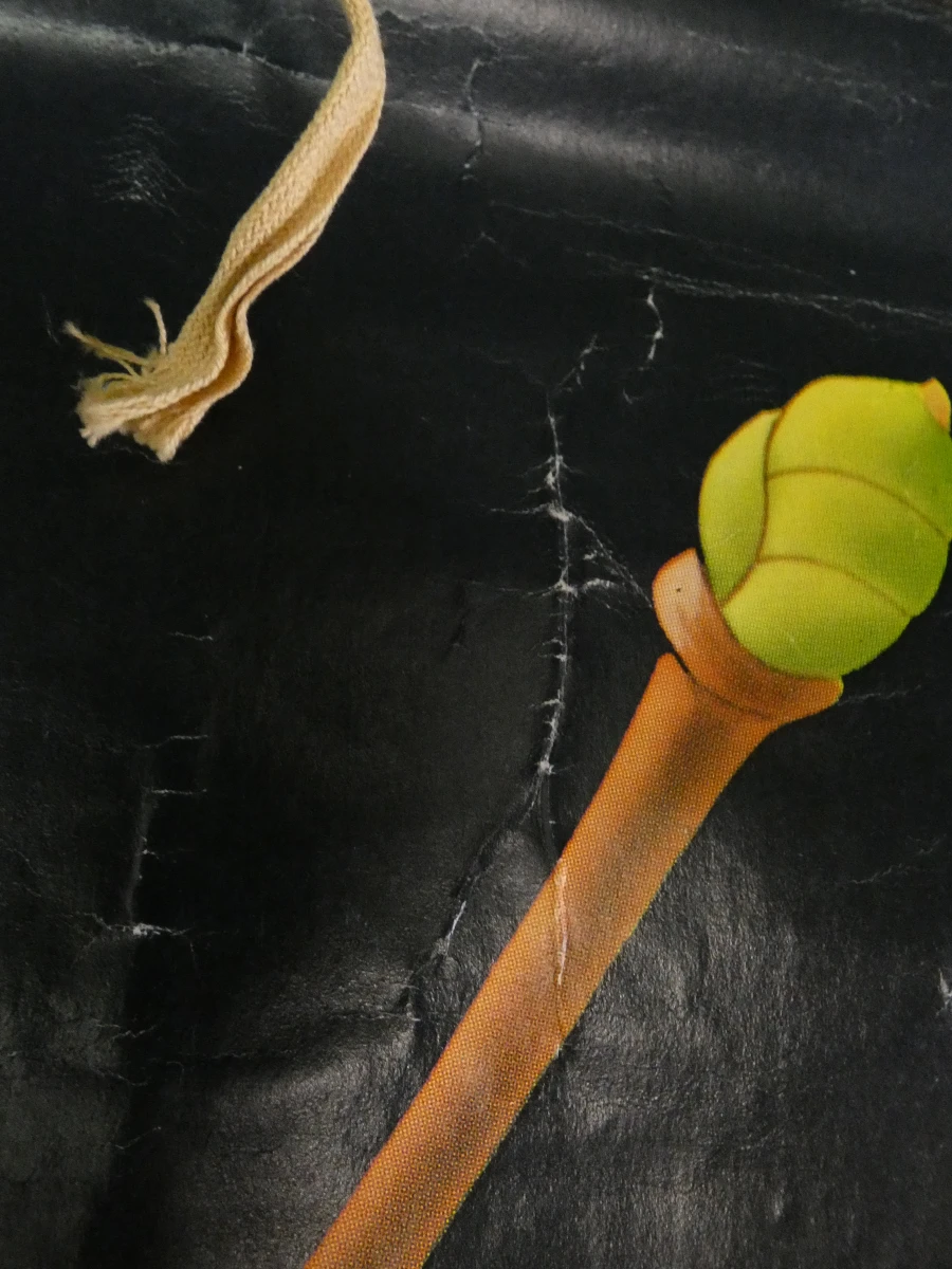 Vintage botanische schoolkaart van de hazelaar