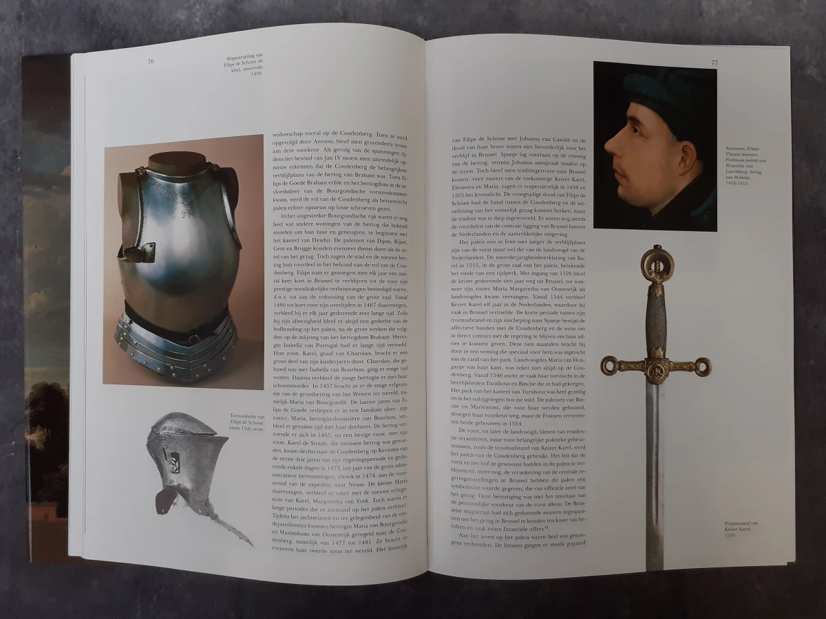 Boek: Het paleis van Brussel - foto 3