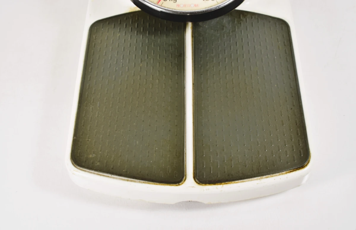 Mechanische weegschaal Terraillon tot 150 kg