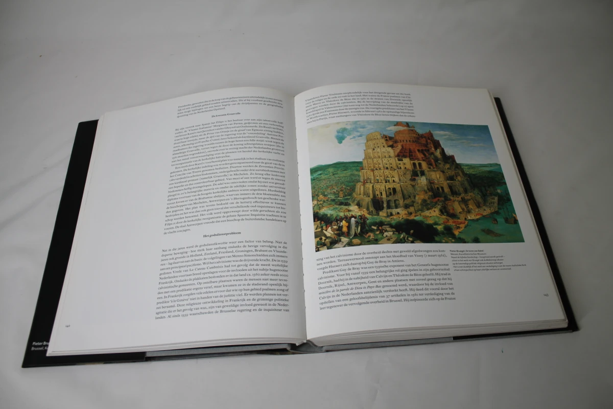 Boek: De gouden delta der Lage Landen
