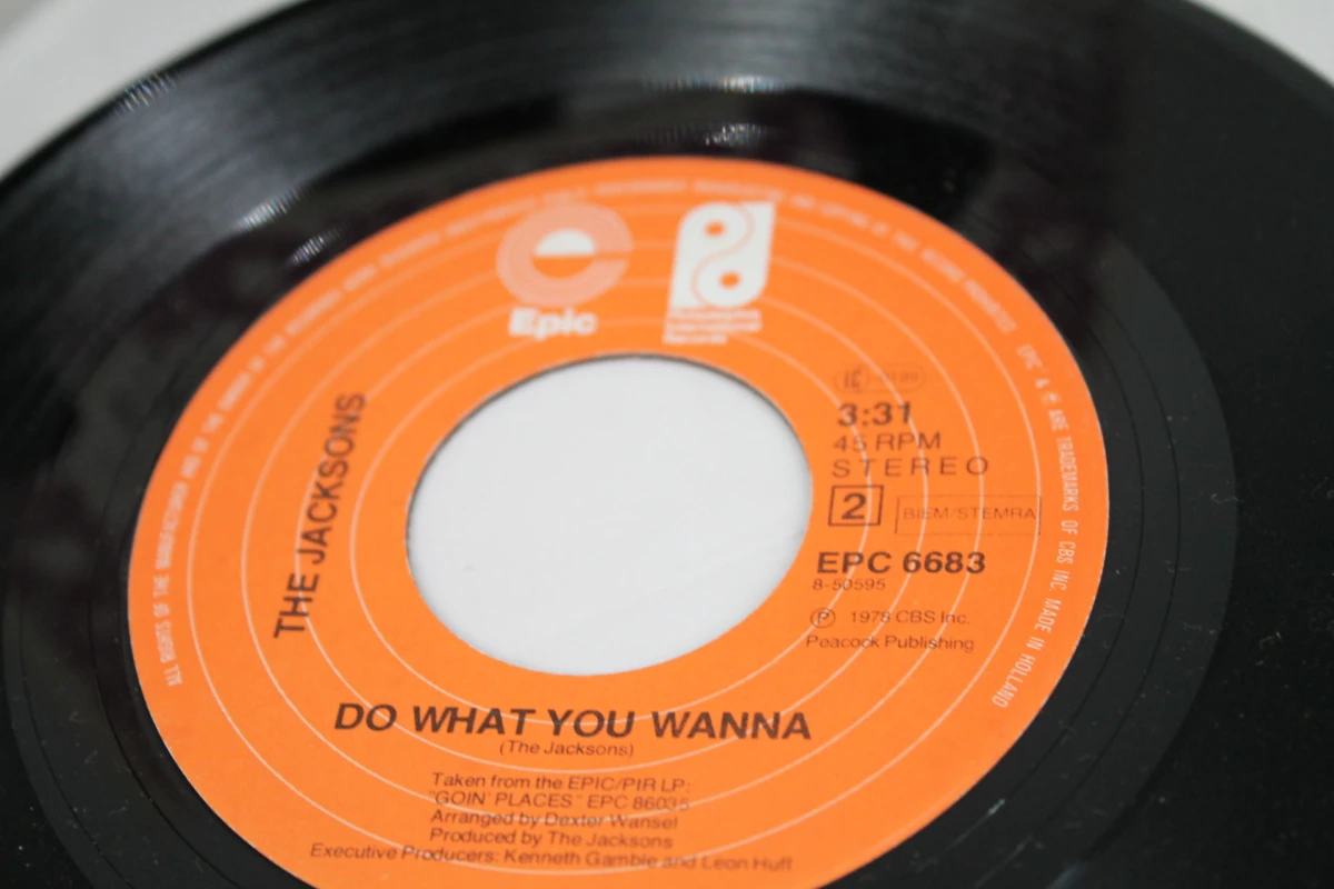 Single: The Jacksons - Blame It On The Boogie