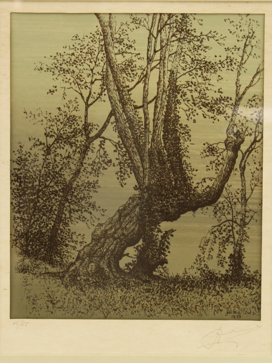Ingelijste ets/aqua tint van een boom - Julien Suls 1978