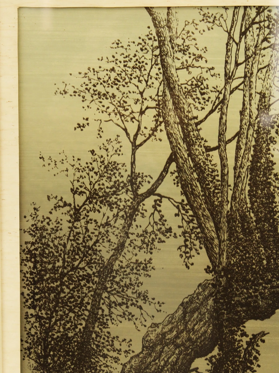Ingelijste ets/aqua tint van een boom - Julien Suls 1978
