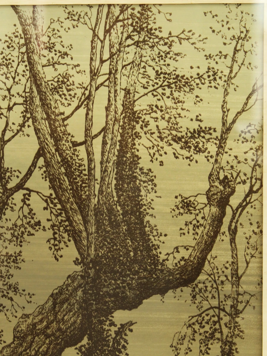 Ingelijste ets/aqua tint van een boom - Julien Suls 1978