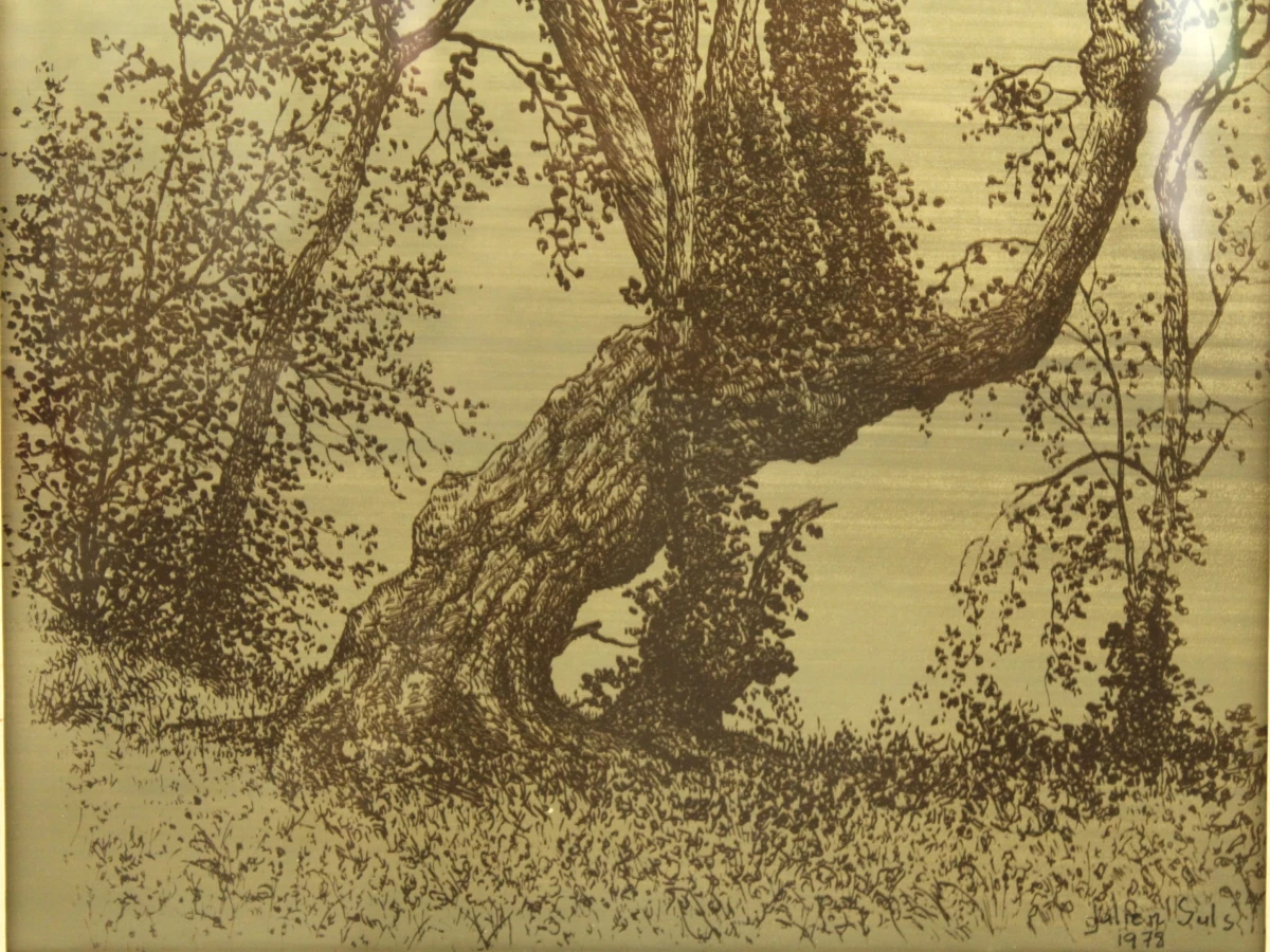 Ingelijste ets/aqua tint van een boom - Julien Suls 1978