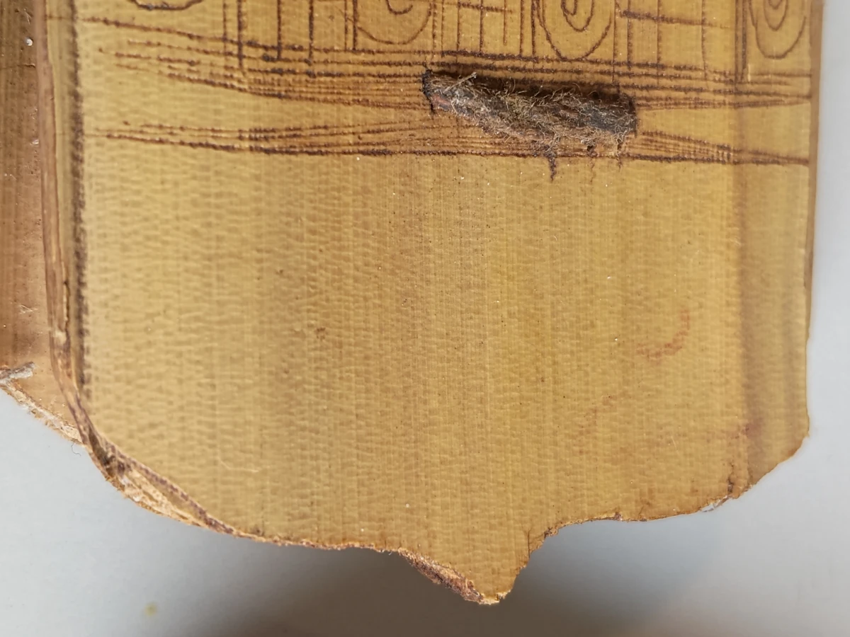 Birmees palmblad manuscript met Theravada Boeddhistische voorstellingen