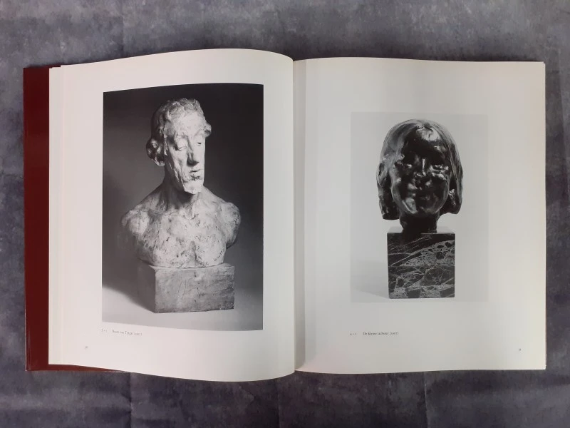 Boek: Duo van kunstboeken over Rik Wouters (1882-1916) - foto 5