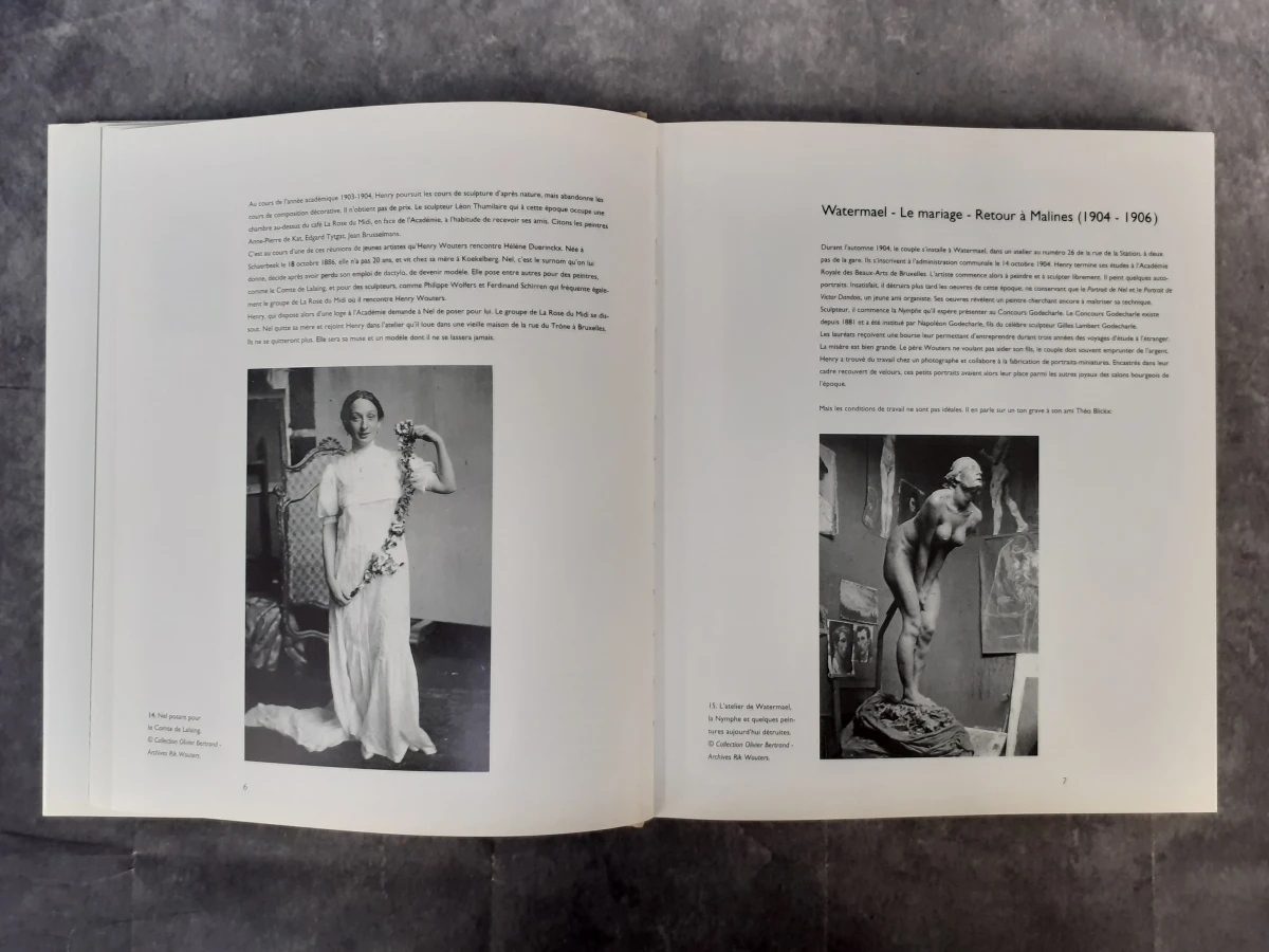 Boek: Duo van kunstboeken over Rik Wouters (1882-1916) - foto 16