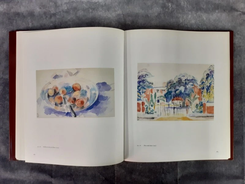 Boek: Duo van kunstboeken over Rik Wouters (1882-1916) - foto 11