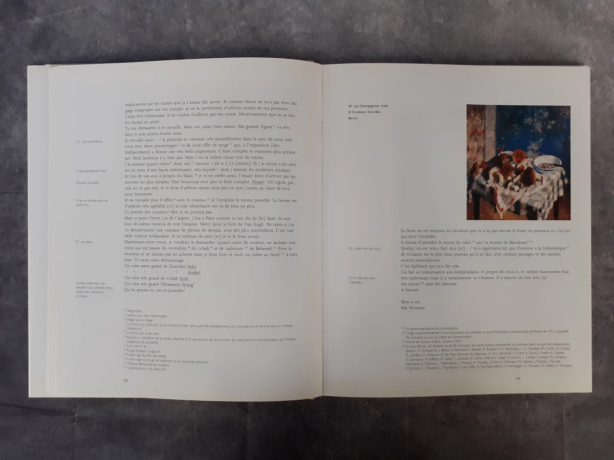 Boek: Duo van kunstboeken over Rik Wouters (1882-1916) - foto 17