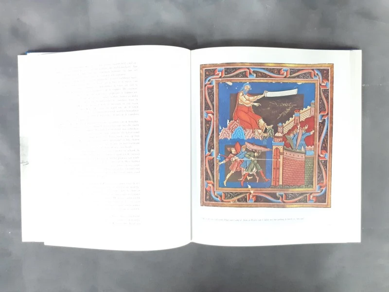 Boek: De moord op Karel de Goede - foto 6