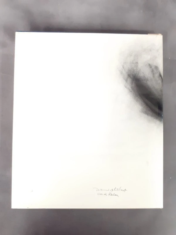 Boek: De moord op Karel de Goede - foto 7