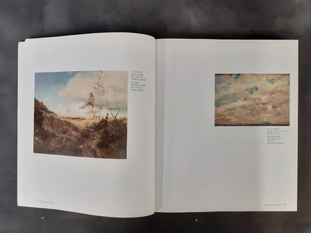 Boek: Het impressionisme en het fauvisme in België - foto 2