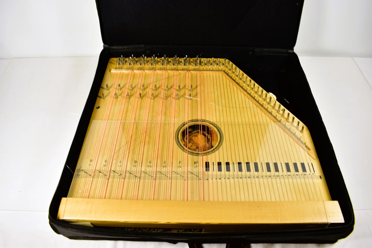 Autoharp 15-akkoorden citer met draagtas