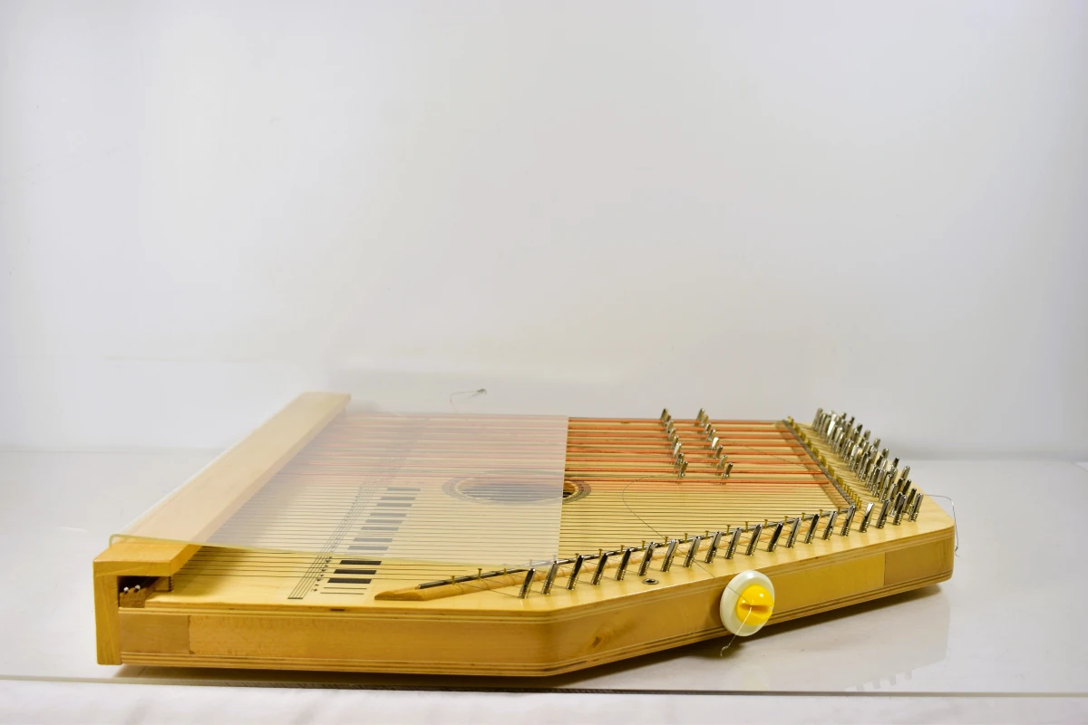 Autoharp 15-akkoorden citer met draagtas