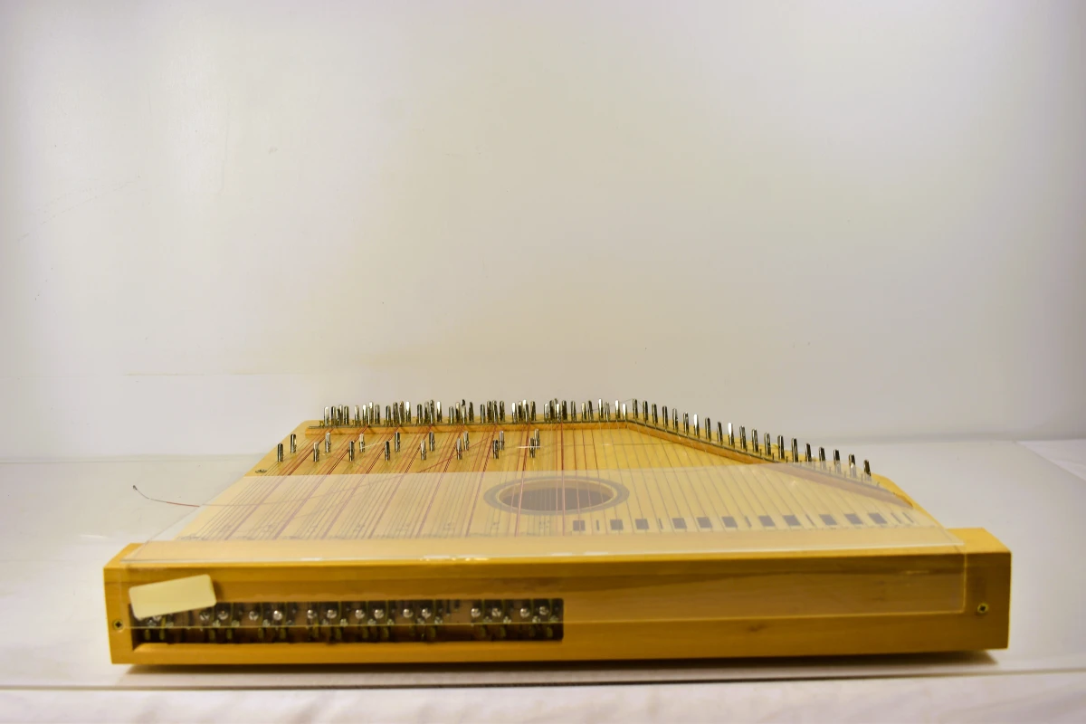 Autoharp 15-akkoorden citer met draagtas