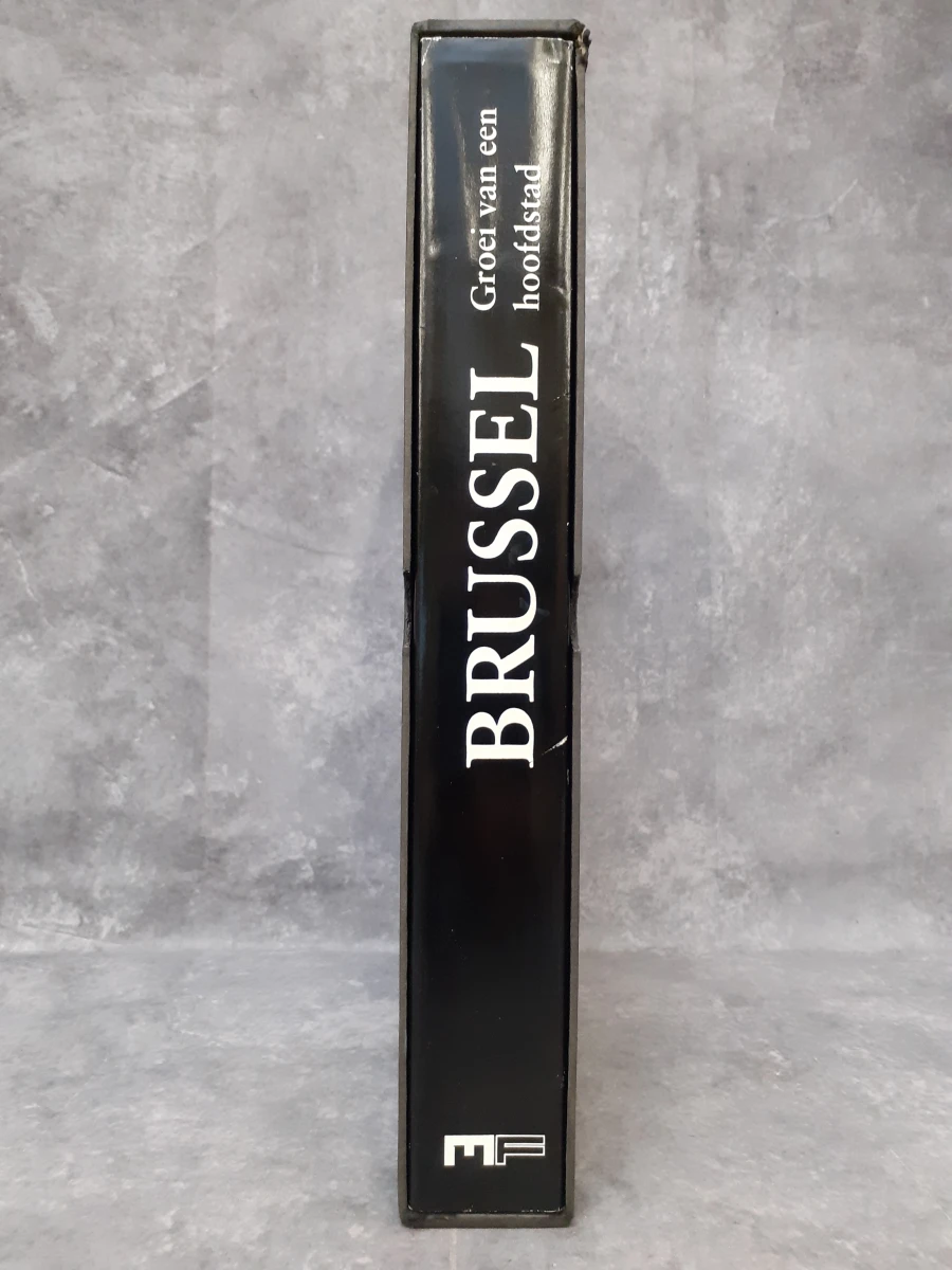 Boek: Brussel - foto 2