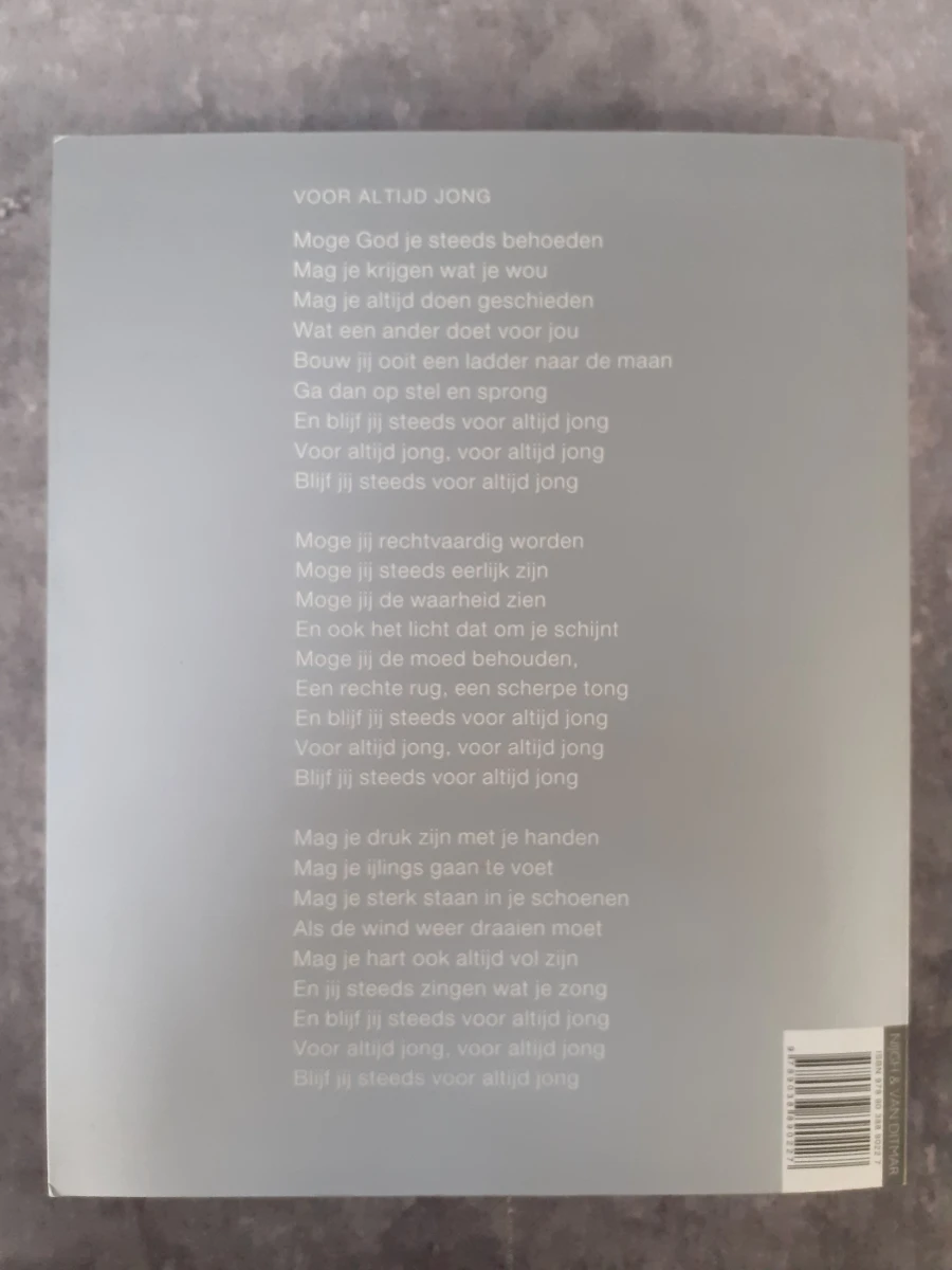 Boek: Bob Dylan - Liedteksten 1 & 2 - foto 13