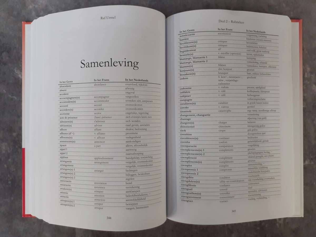 Boek: Duo van Gentse woordenboeken - foto 12