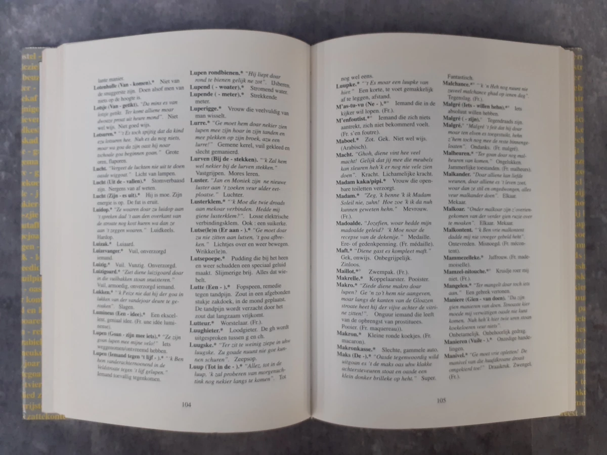 Boek: Duo van Gentse woordenboeken - foto 5