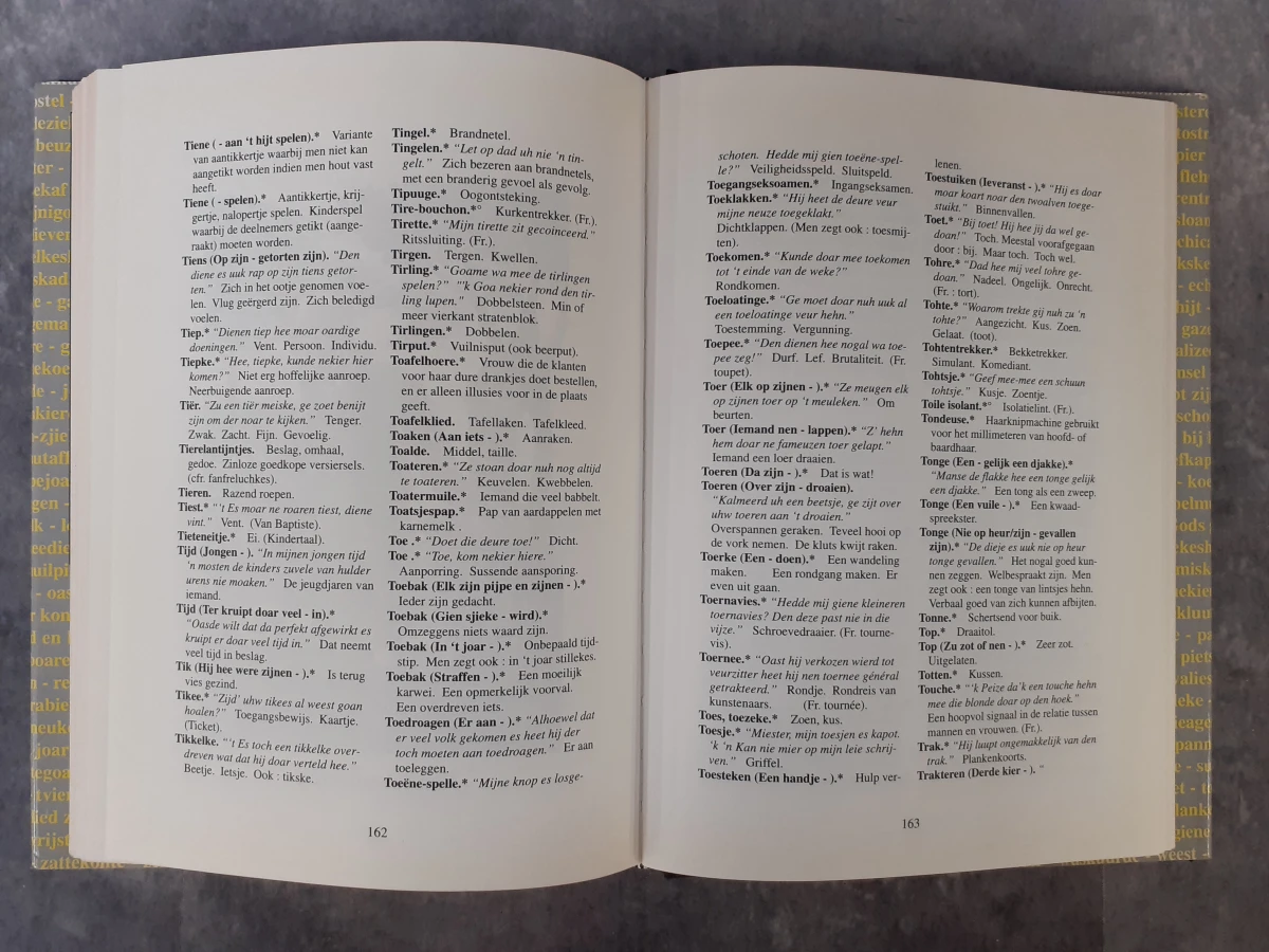 Boek: Duo van Gentse woordenboeken - foto 6