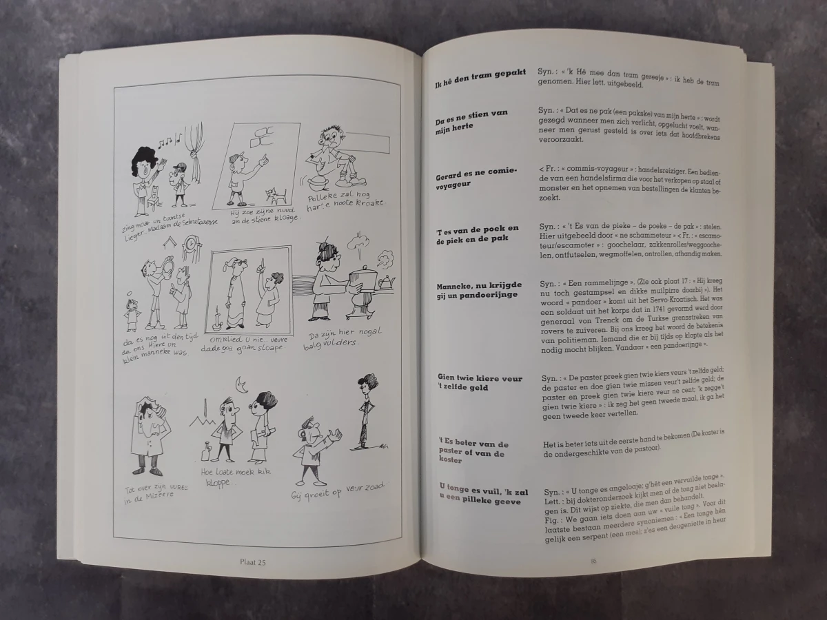 Duo van Gentse woordenboeken (2) - foto 10