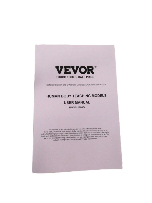 VEVOR anatomisch hersenmodel op ware grootte – model LD-304
