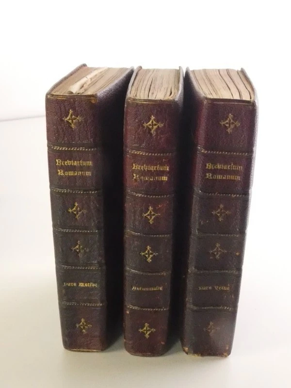 Interessante collectie oude kerkboeken