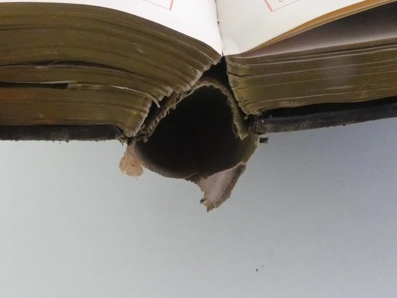 Interessante collectie oude kerkboeken