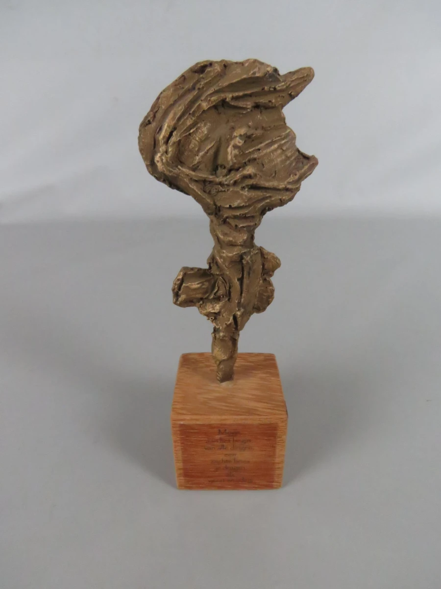 Trofee KH Leuven