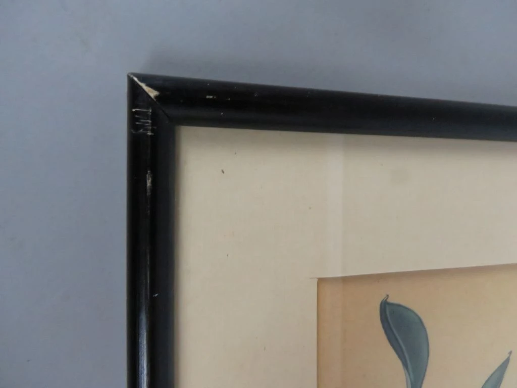Ingelijste botanische print met bloemen