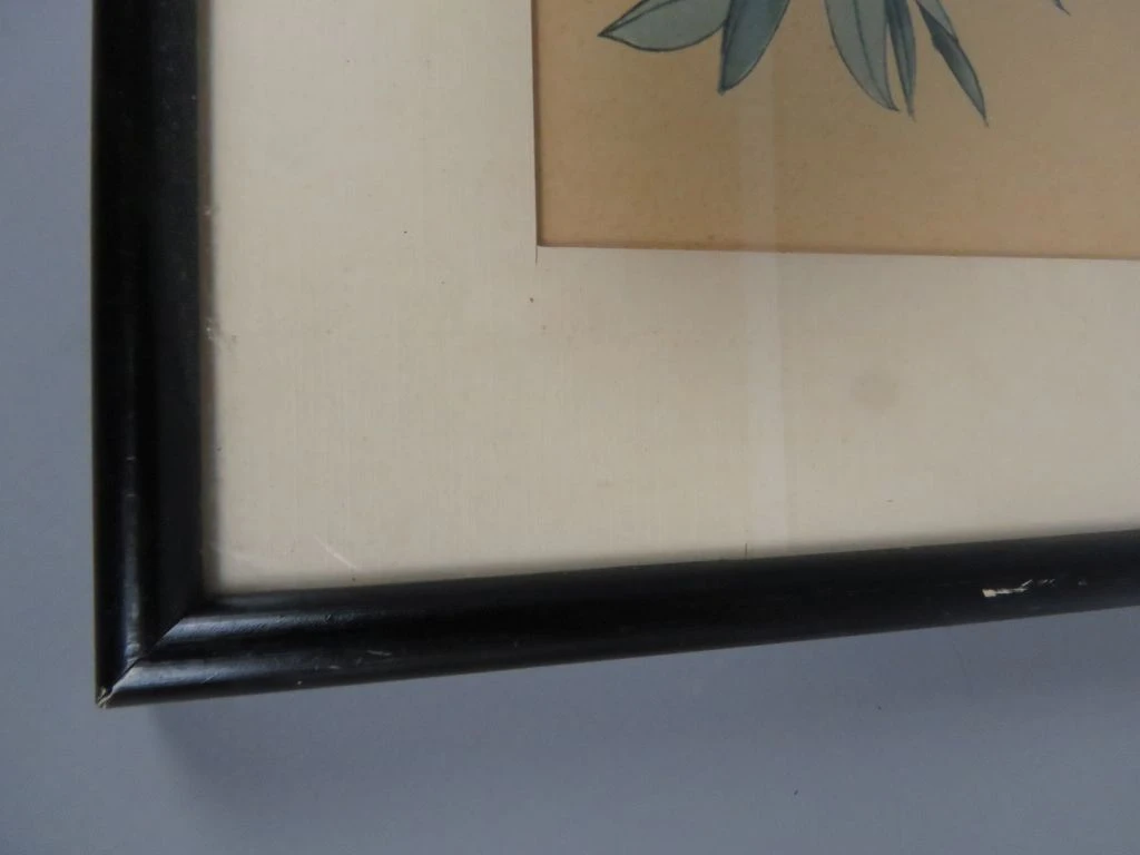Ingelijste botanische print met bloemen