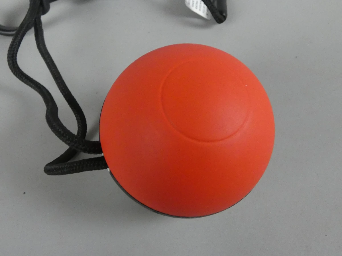 Nintendo Pokémon Poké Ball Plus Controller(Niet getest)