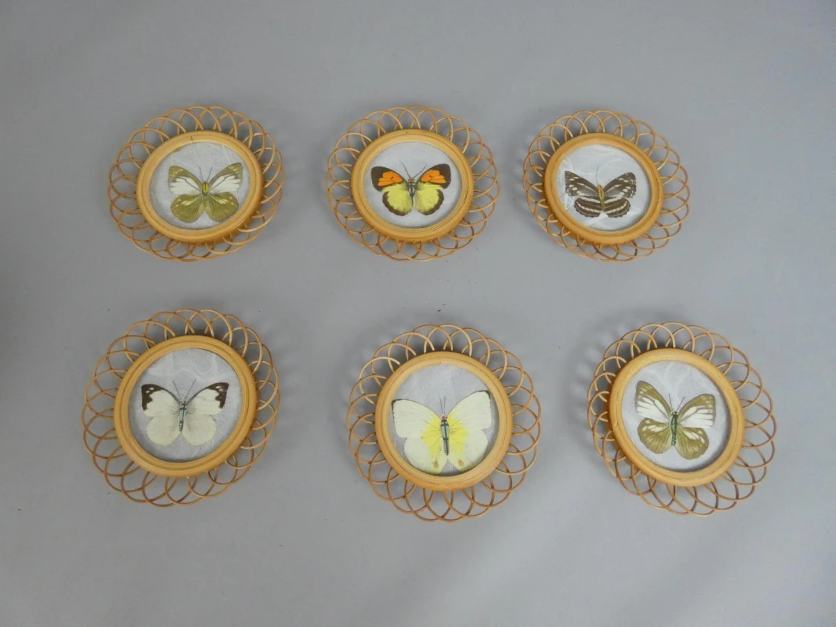 6 Vlinder onderleggers
