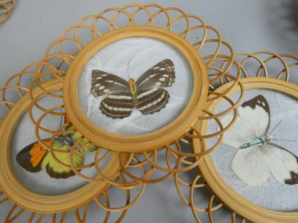6 Vlinder onderleggers