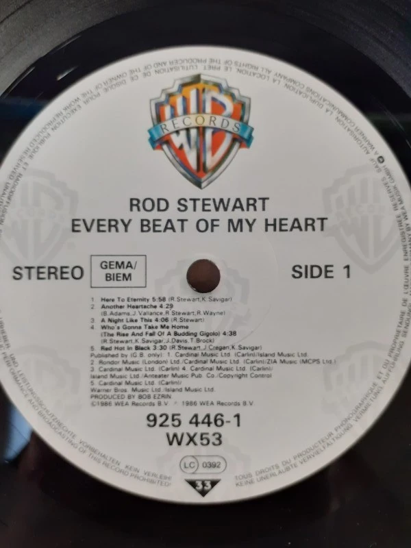 Vinyl: Lot van 4 Rod Stewart albums - foto 10