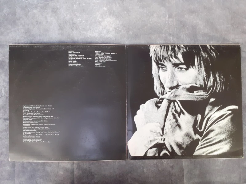 Vinyl: Lot van 4 Rod Stewart albums - foto 16