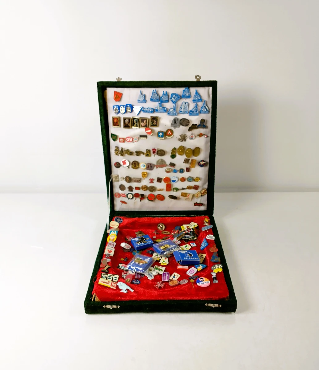 Verzameling vintage speldjes en pins in presentatiekoffer