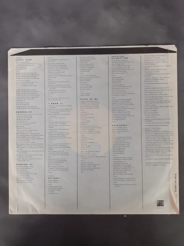 Vinyl: Lot van 3 Madonna albums - foto 4