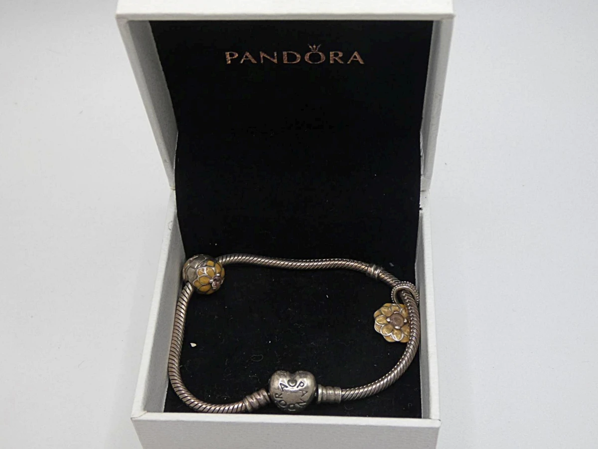 Pandora slangarmband