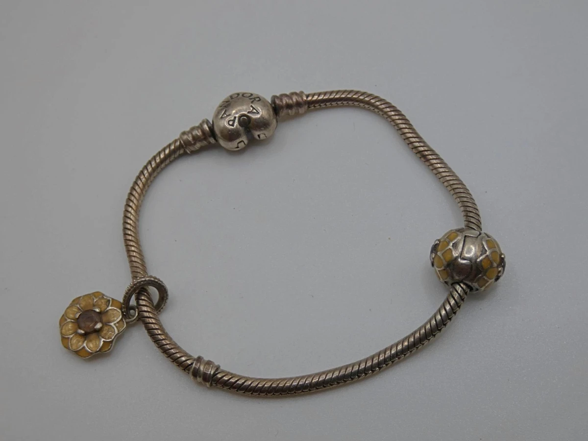 Pandora slangarmband