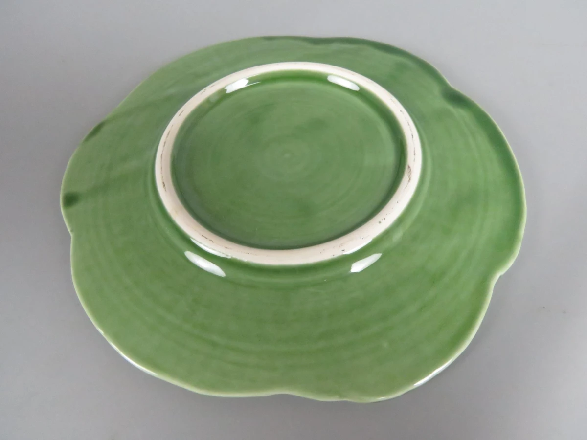 Soepterrine koolblad