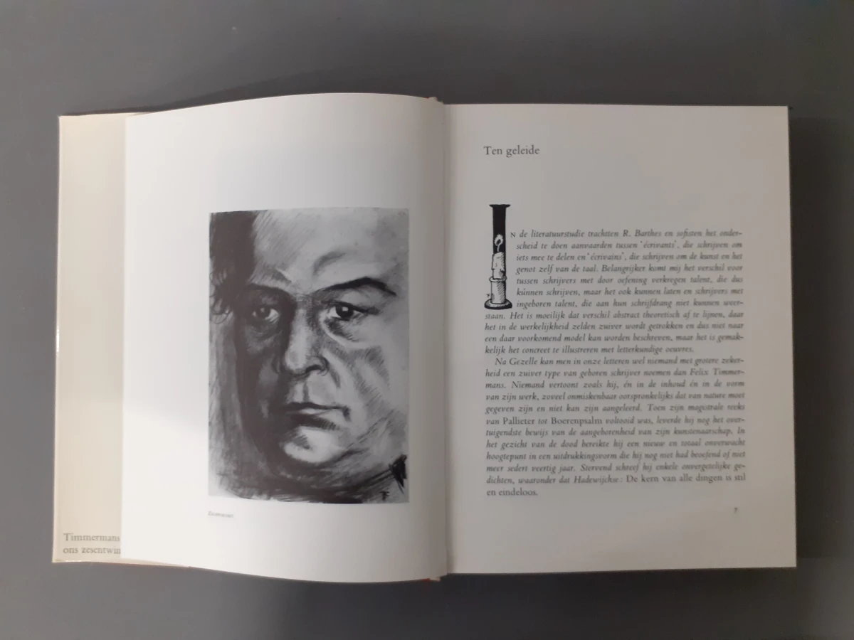 Boek: Felix Timmermans - Mens, Schilder, Tekenaar - foto 4