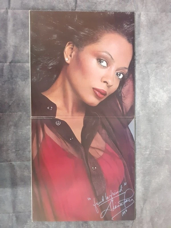 Vinyl: Duo van Diana Ross albums - foto 12