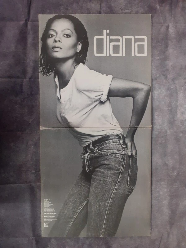 Vinyl: Duo van Diana Ross albums - foto 11