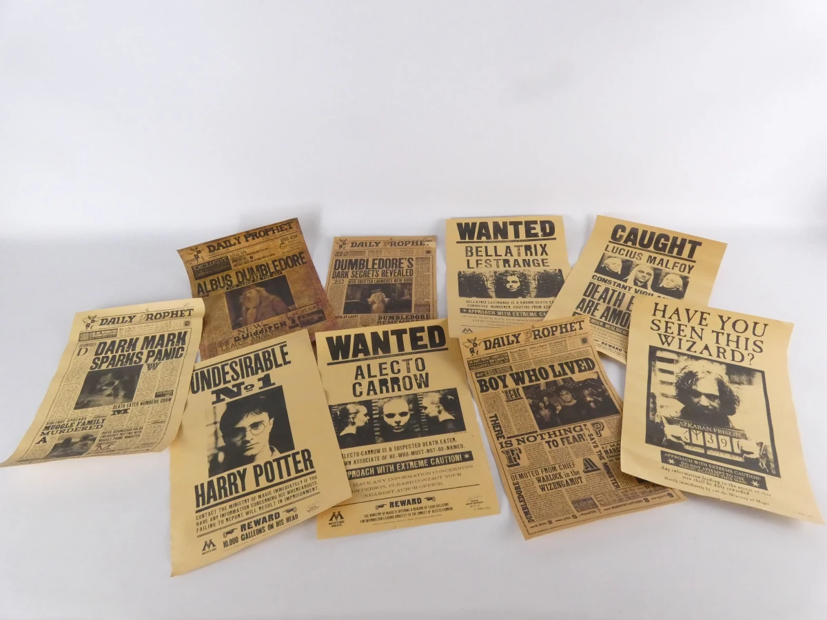 Harry Potter toverstokken en krantjes set