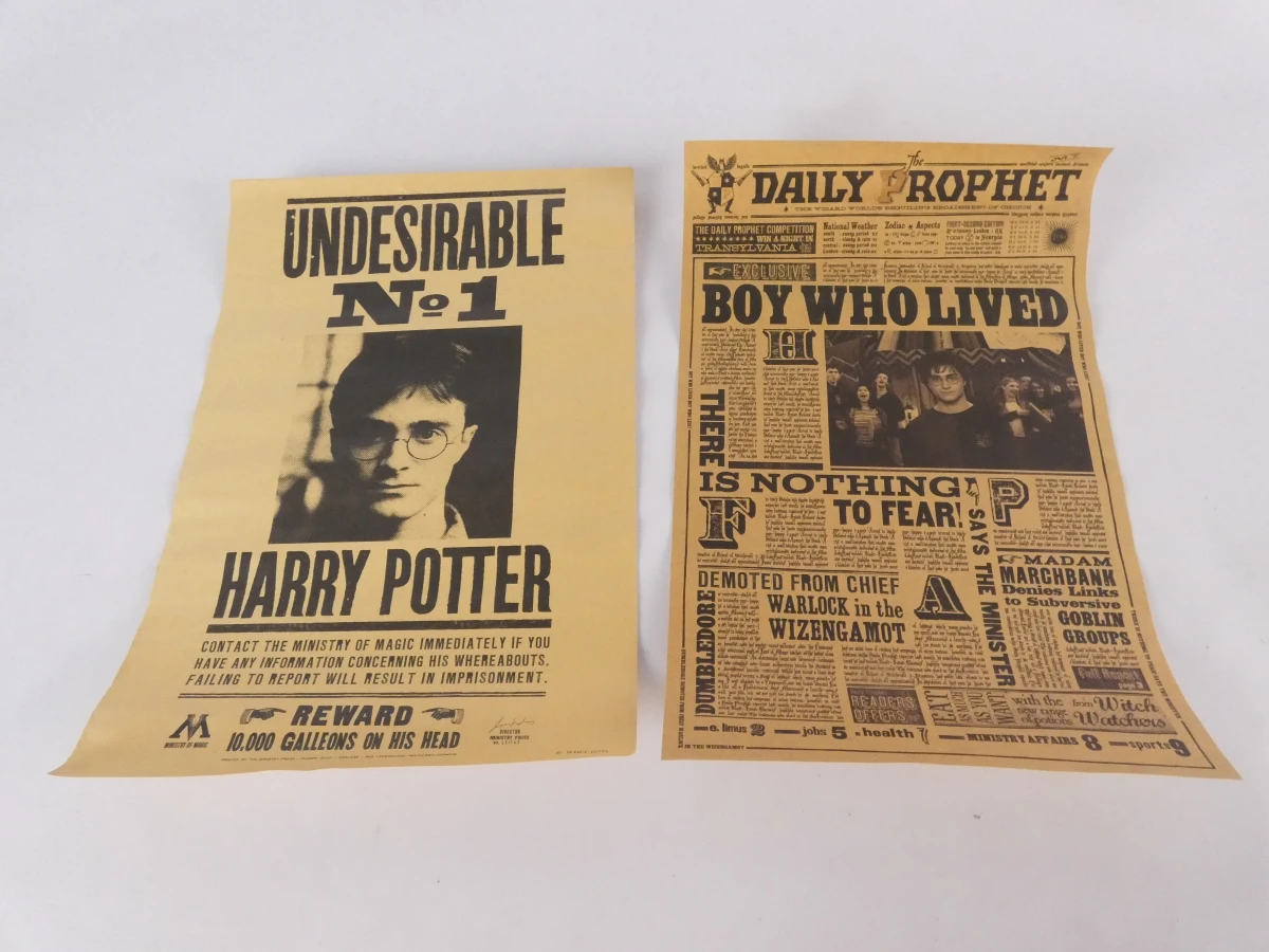 Harry Potter toverstokken en krantjes set