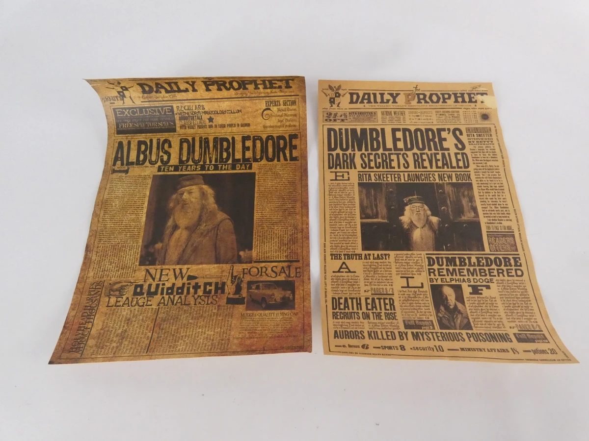 Harry Potter toverstokken en krantjes set
