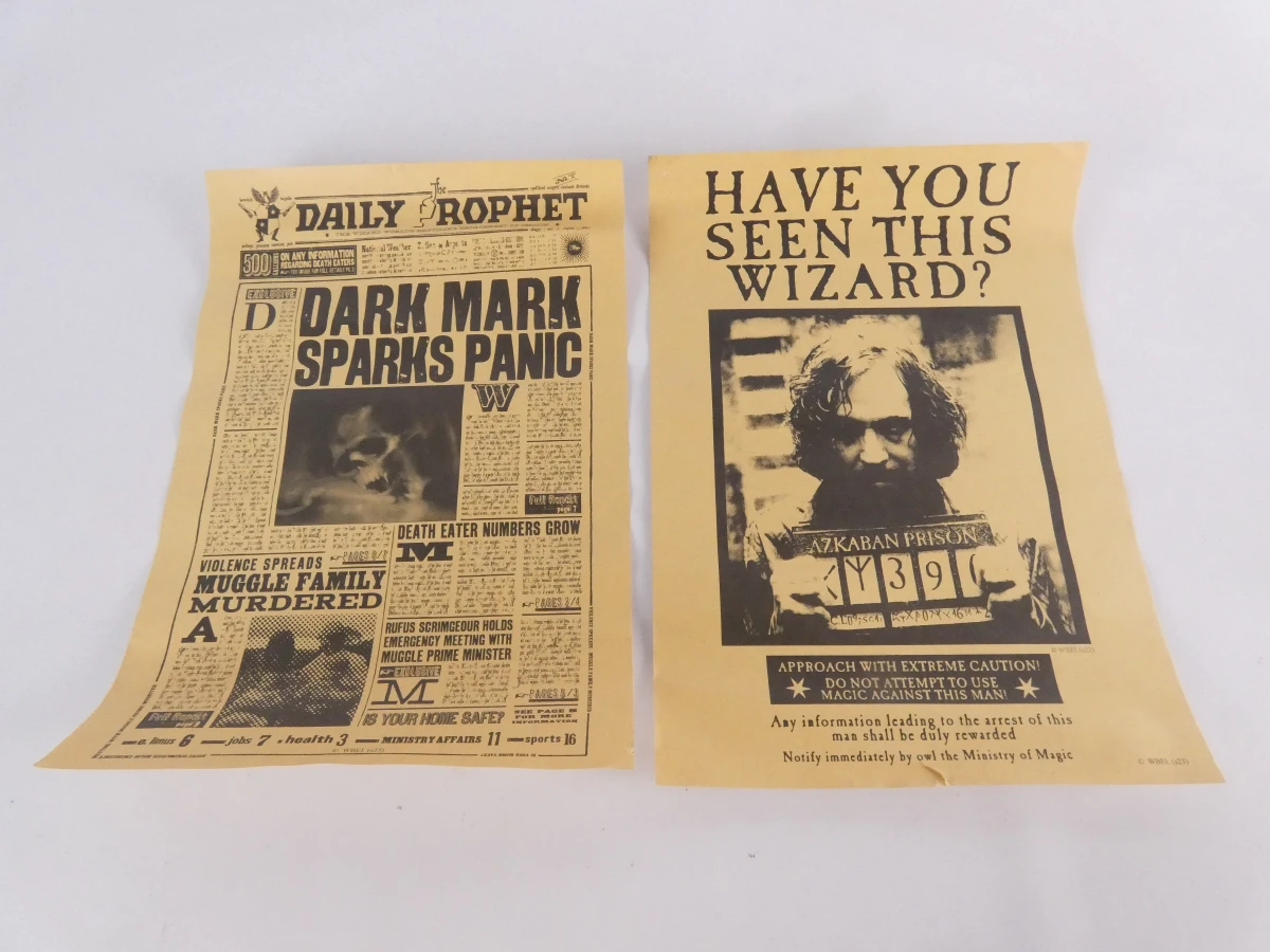 Harry Potter toverstokken en krantjes set