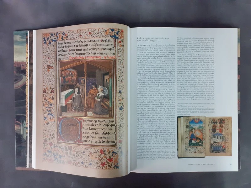 Boek: Gent - Apologie van een rebelse stad - foto 3